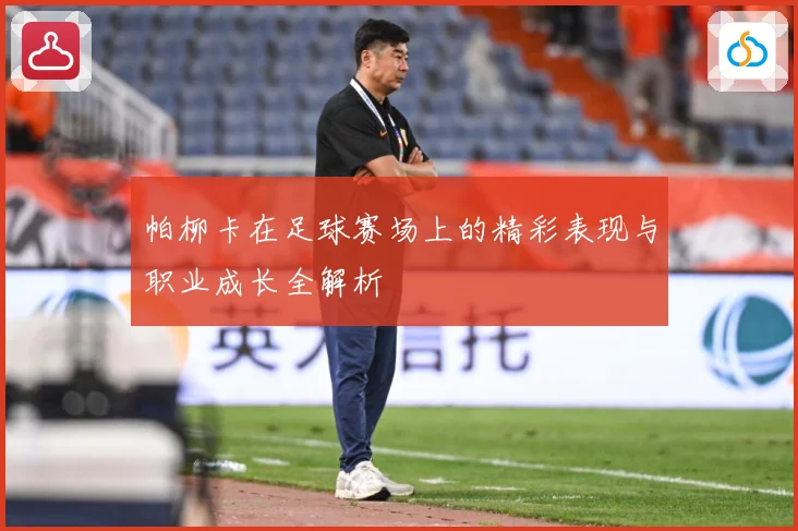 帕柳卡在足球赛场上的精彩表现与职业成长全解析