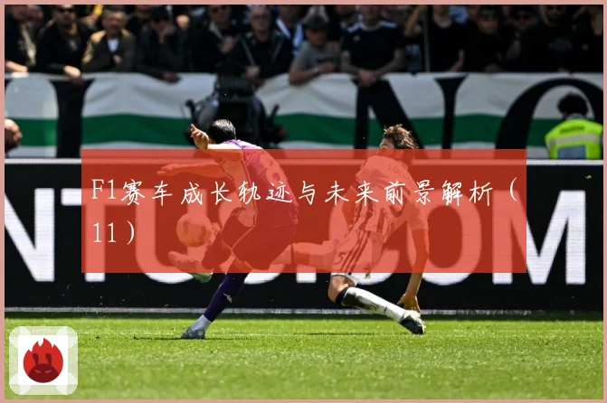 F1赛车成长轨迹与未来前景解析（11）