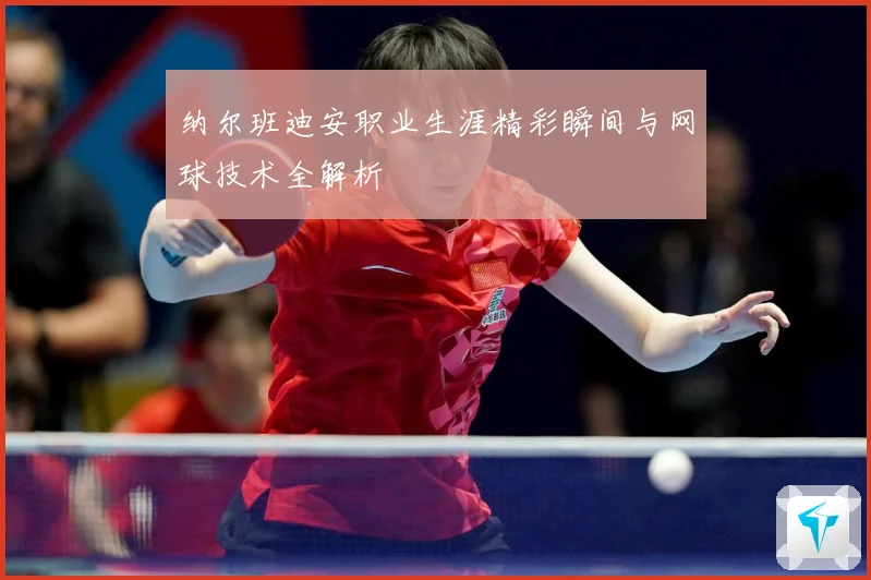 纳尔班迪安职业生涯精彩瞬间与网球技术全解析