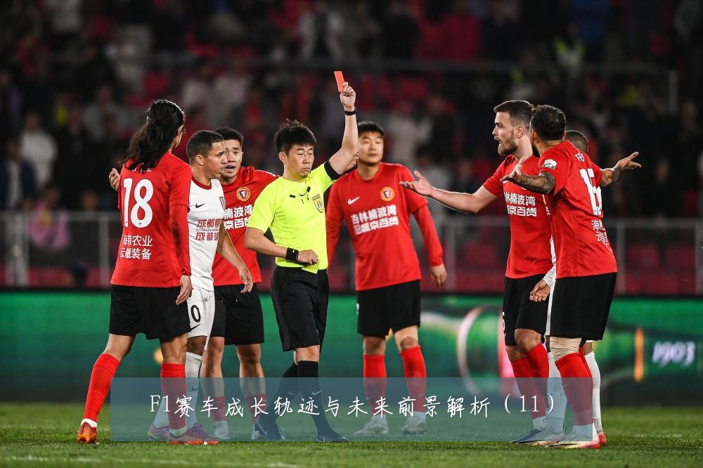 F1赛车成长轨迹与未来前景解析（11）