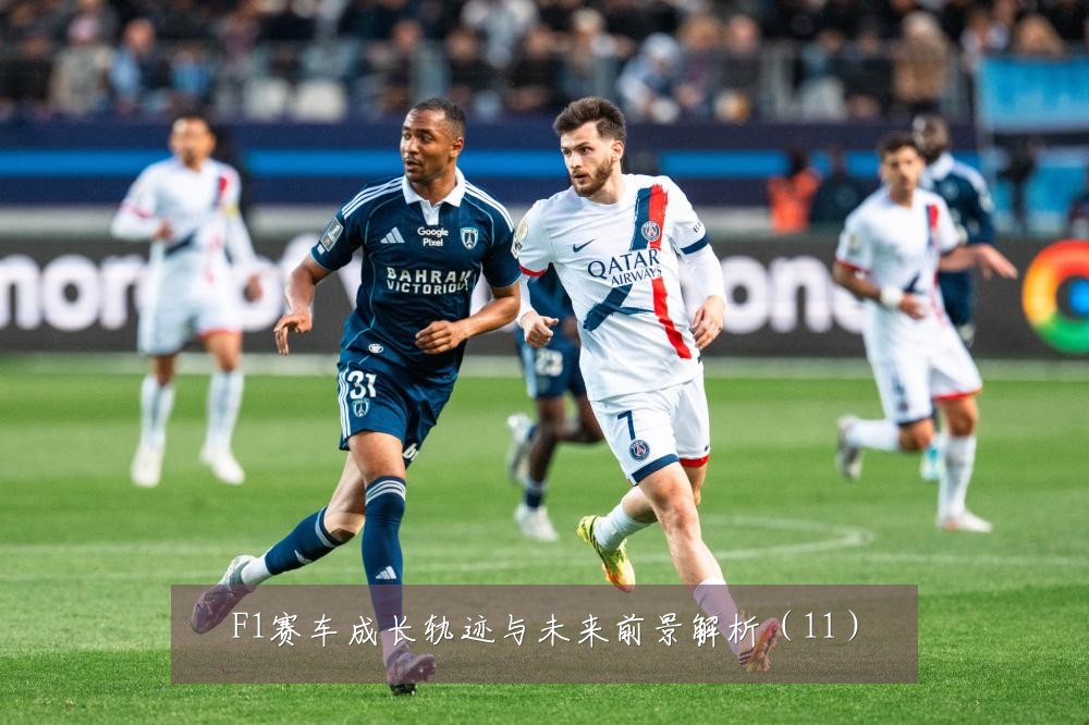 F1赛车成长轨迹与未来前景解析（11）